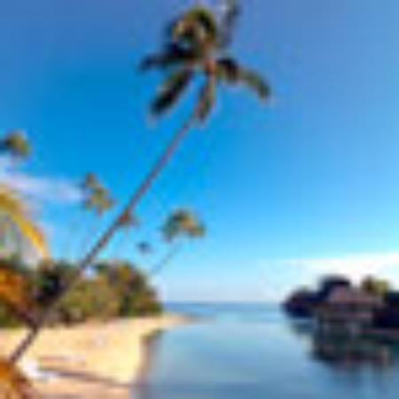 Dia A Dia Lanchonete